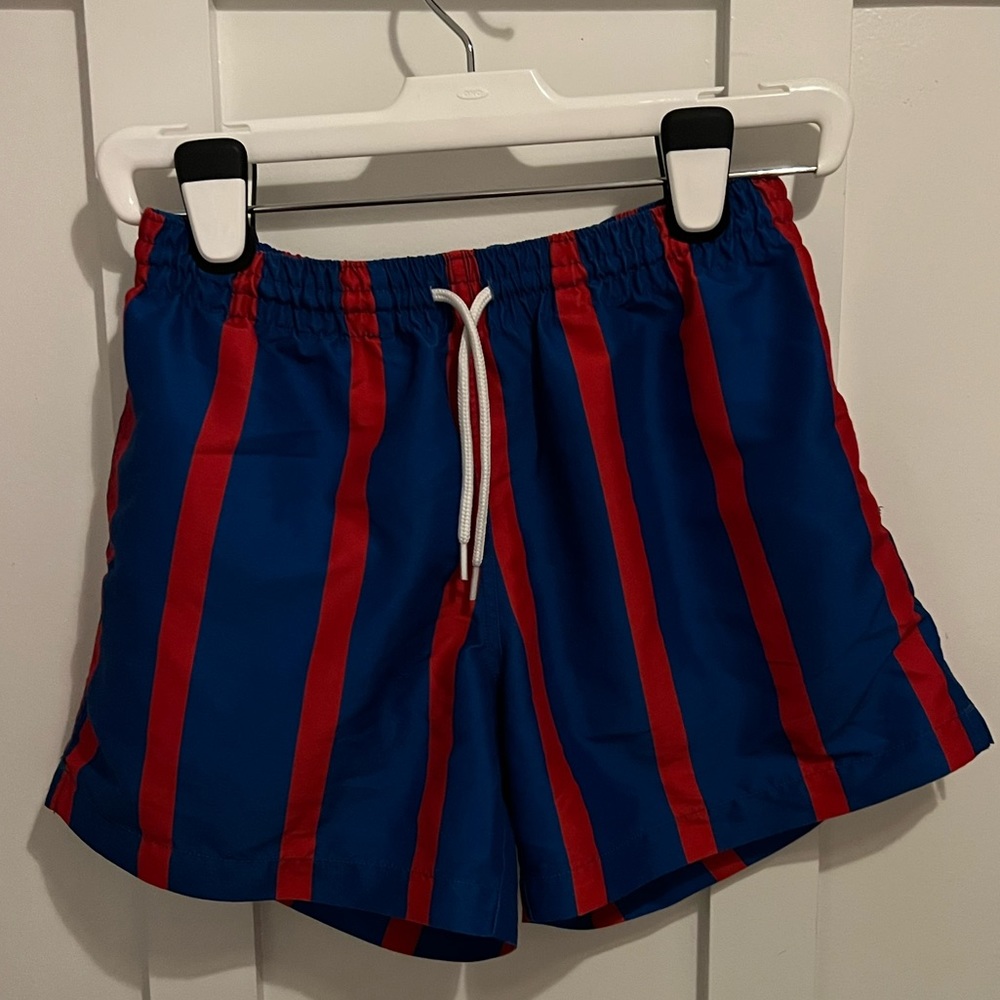 Chubbies bathing suit